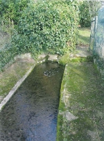 Fontaine Saint Martin