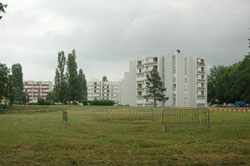 Des immeubles au cœur de la nature