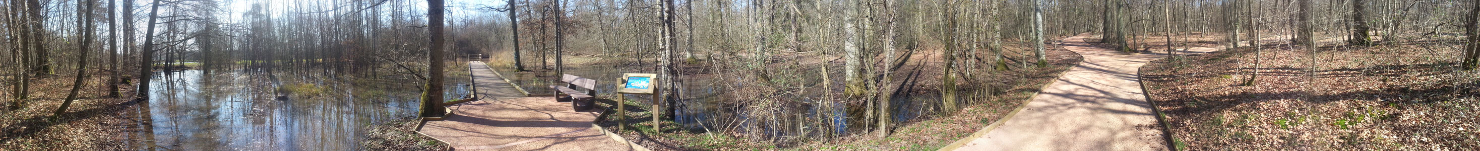 Chemin accessible dans la forêt du château de l'Étang